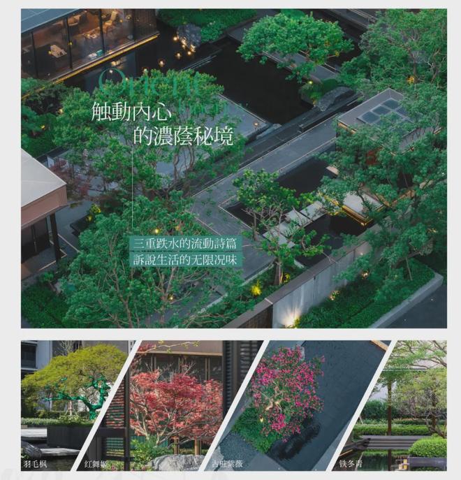 上瑧悦售楼处发布：价格一出来吓到我了！麻将胡了2游戏入口◈保利·海上瑧悦海(图45)