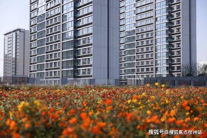 间-地址-最新房价户型图-小区环境-楼盘详情-交房时间-周边配套-售楼处电话PG电子麻将胡了试玩尚湾林语首页网站-尚湾林语售楼处电话-楼盘详情-交房时(图3)