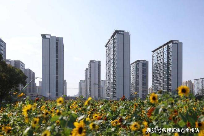 间-地址-最新房价户型图-小区环境-楼盘详情-交房时间-周边配套-售楼处电话PG电子麻将胡了试玩尚湾林语首页网站-尚湾林语售楼处电话-楼盘详情-交房时(图4)