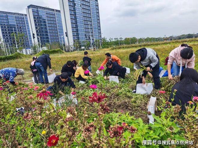 间-地址-最新房价户型图-小区环境-楼盘详情-交房时间-周边配套-售楼处电话PG电子麻将胡了试玩尚湾林语首页网站-尚湾林语售楼处电话-楼盘详情-交房时(图22)